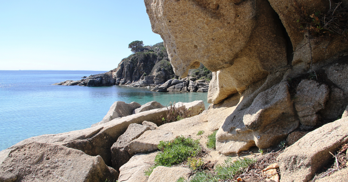 spiaggia cavoli